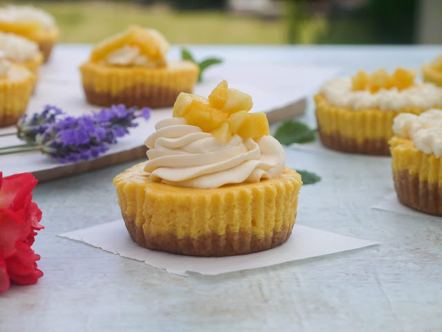 Mango Mini Cheesecake